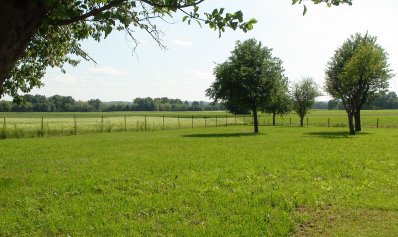Beautiful property + 6.390 m2 land